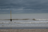 Ailleurs sur la cote.jpg